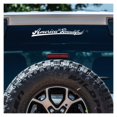 americana-swoosh-00