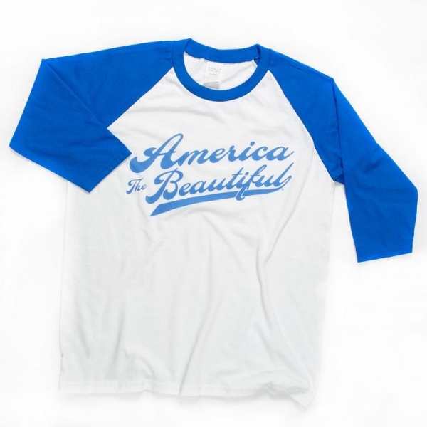 text-baseball-swoosh-blue-0004-large_1759036785
